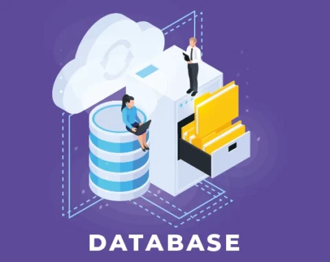 Database